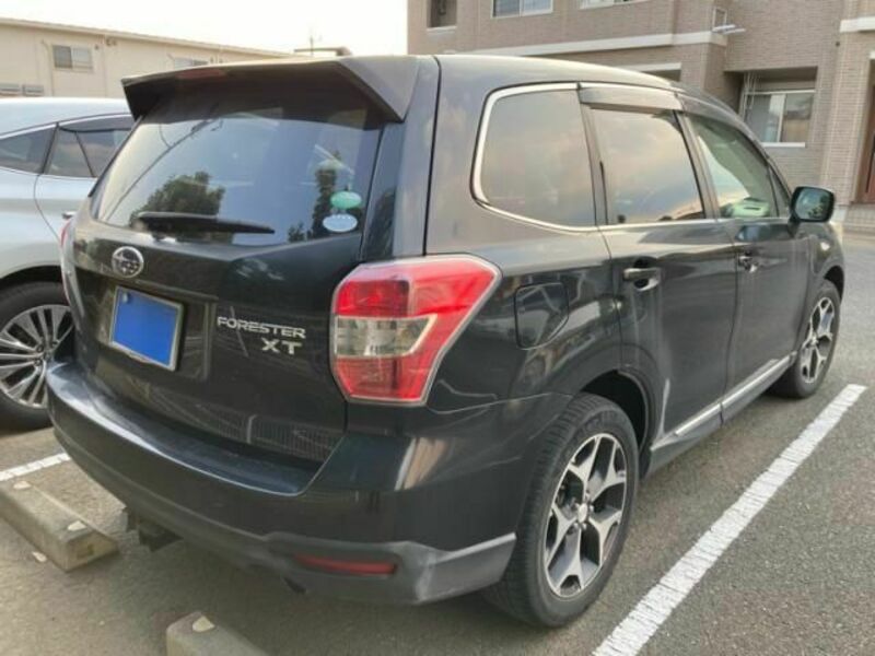 FORESTER