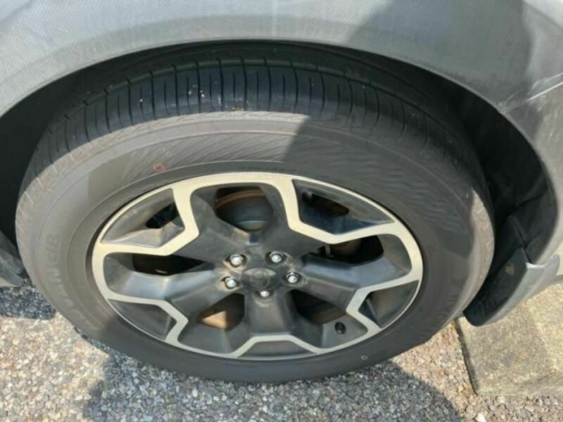 XV