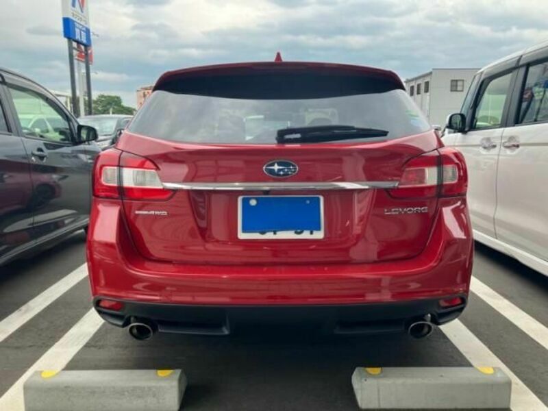 LEVORG