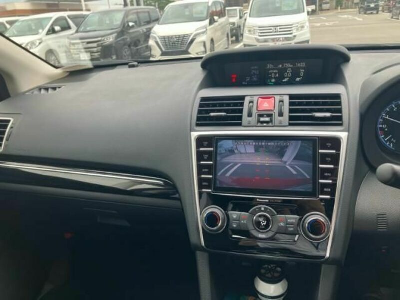 LEVORG