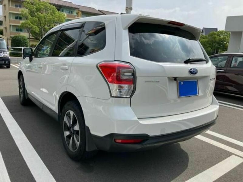 FORESTER