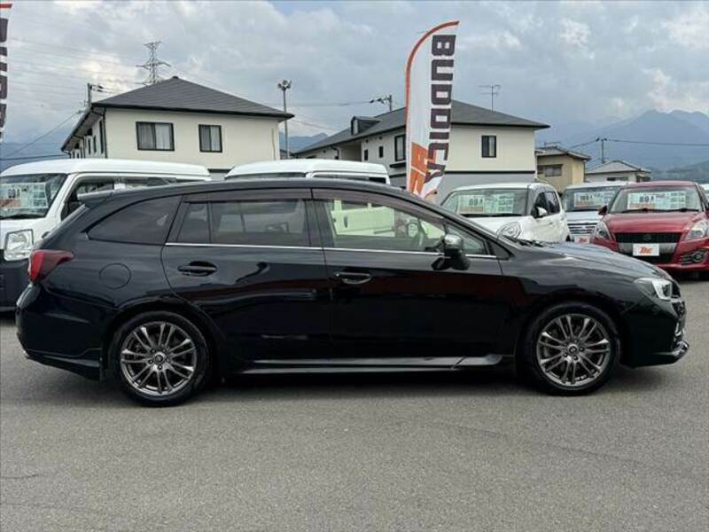 LEVORG