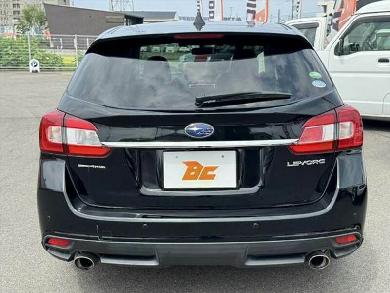 LEVORG
