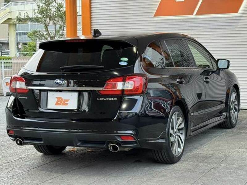 LEVORG