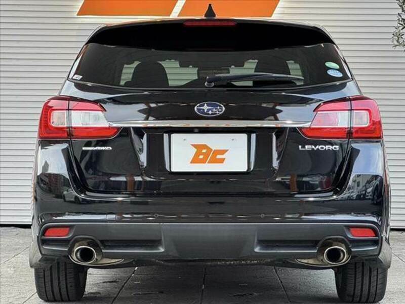 LEVORG