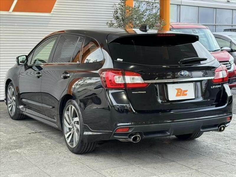 LEVORG