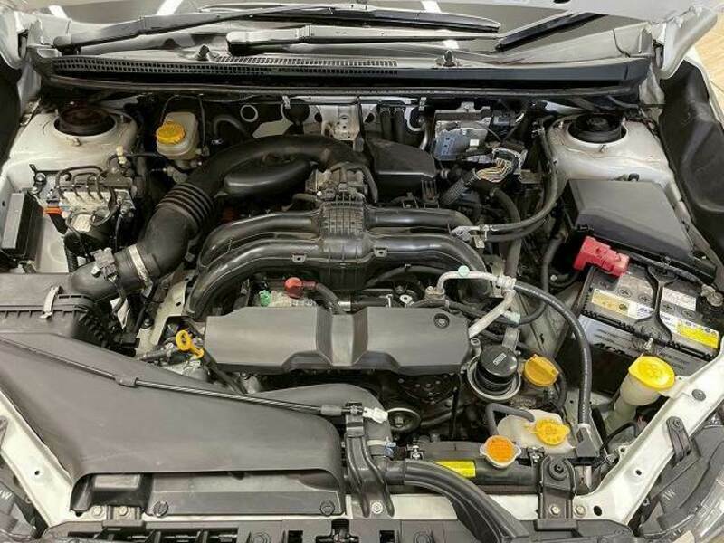 XV