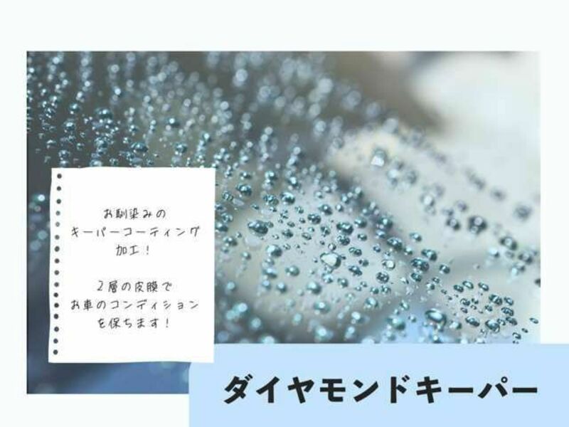 SPADE