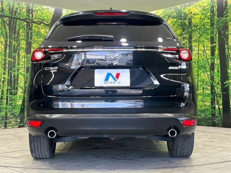 CX-8