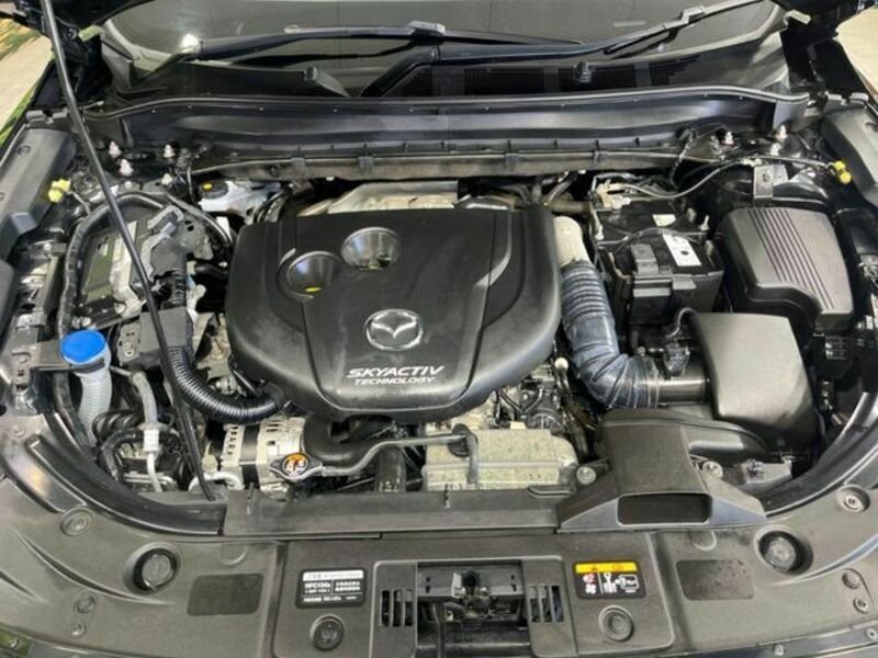 CX-8
