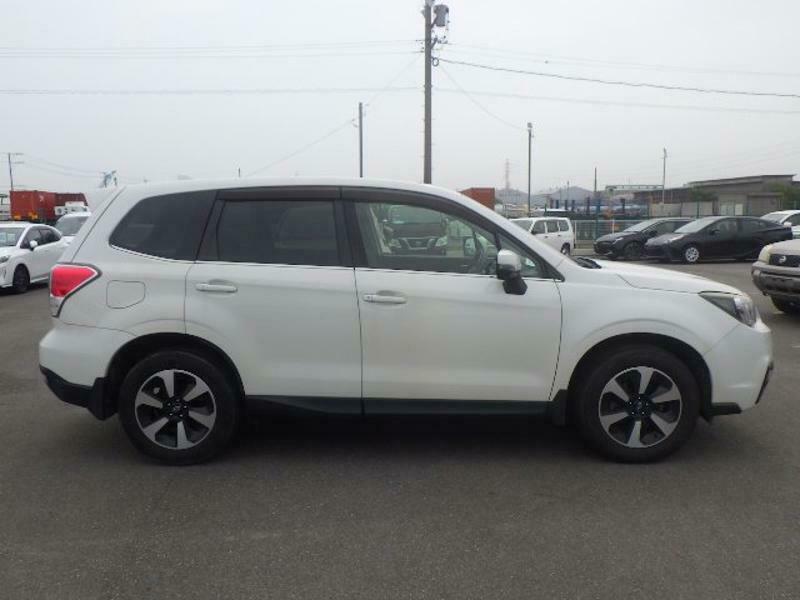 FORESTER
