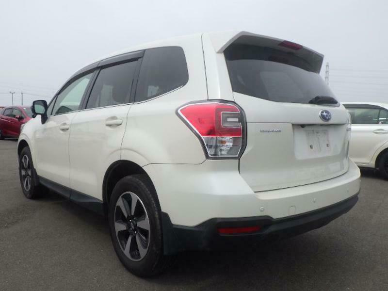FORESTER