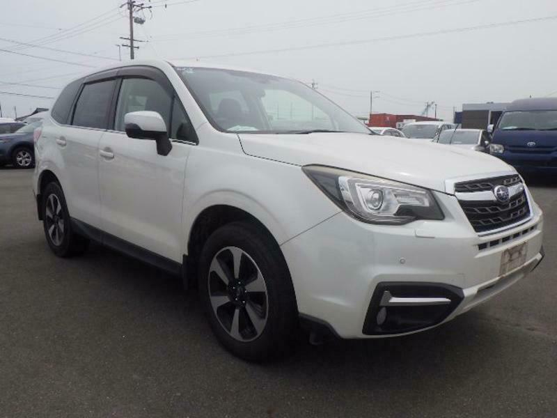 FORESTER-0