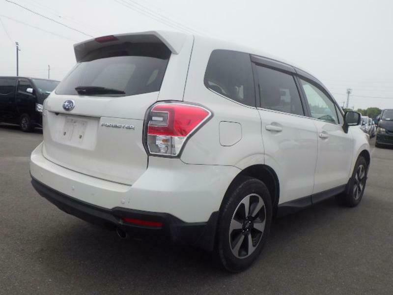 FORESTER