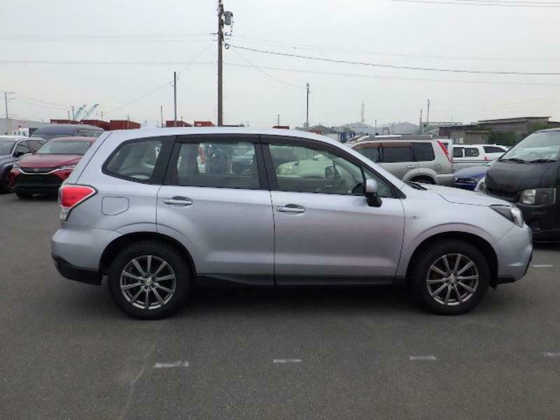 FORESTER