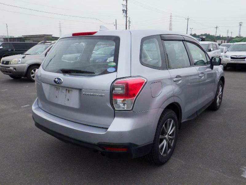 FORESTER