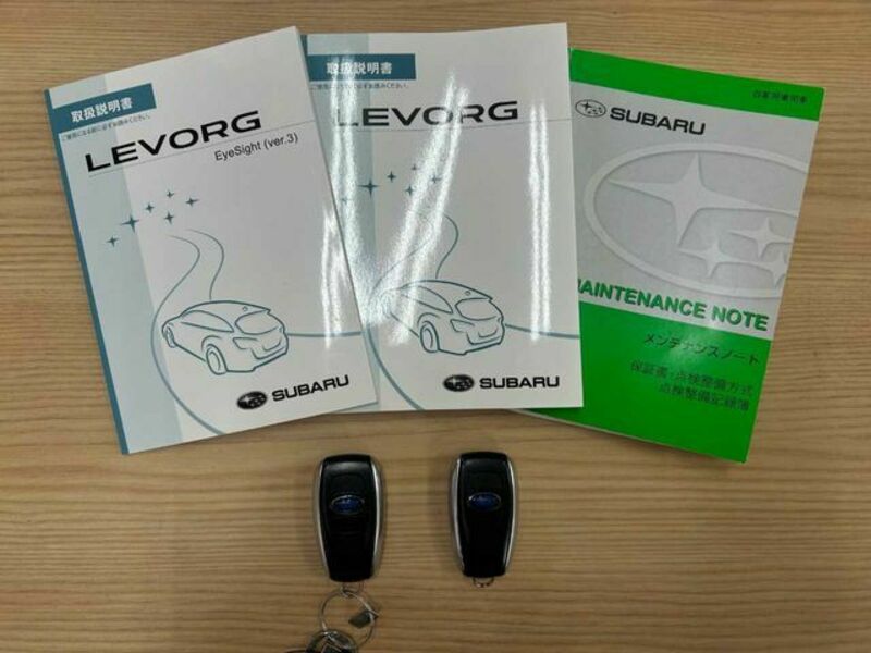 LEVORG
