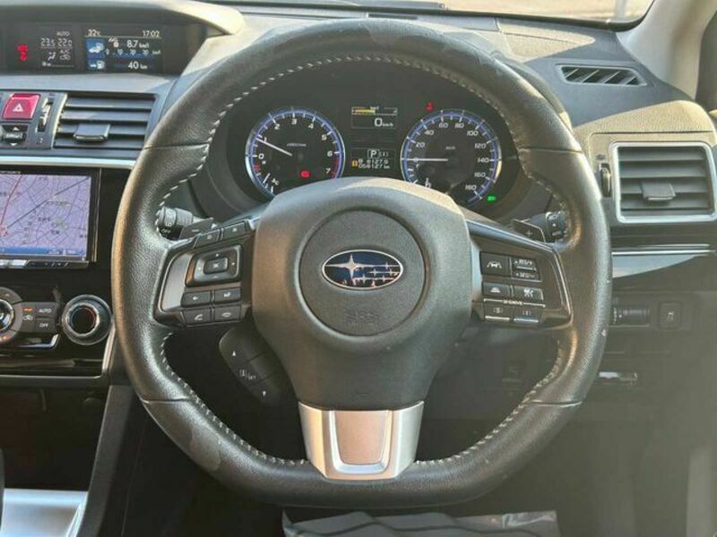 LEVORG