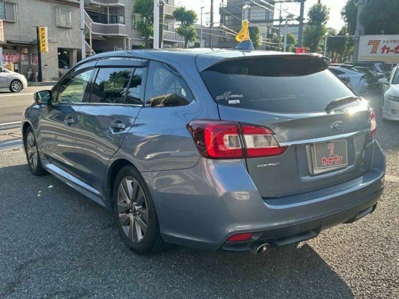 LEVORG