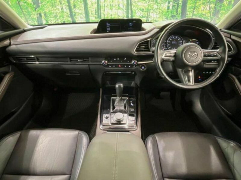 CX-30