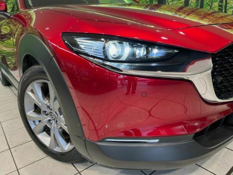 CX-30