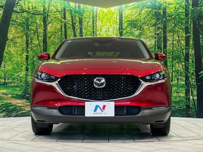 CX-30