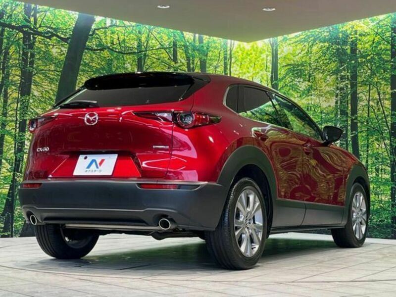 CX-30