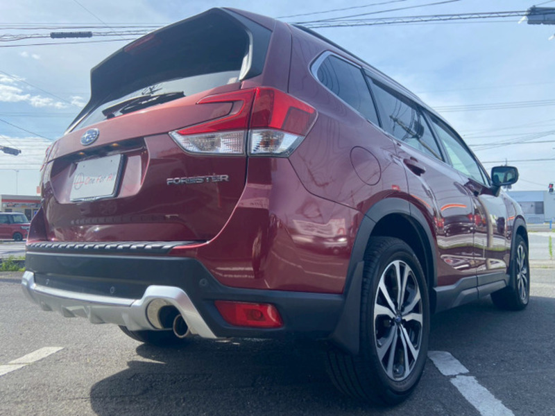FORESTER