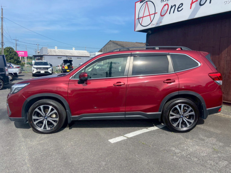 FORESTER