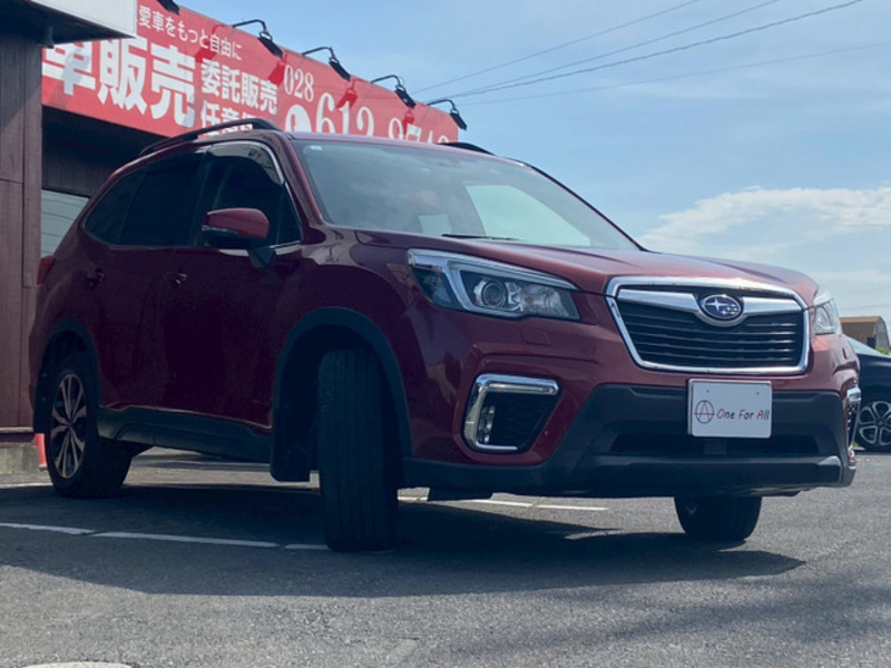 FORESTER