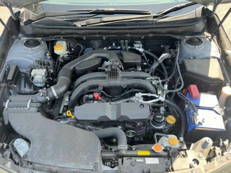 LEGACY OUTBACK