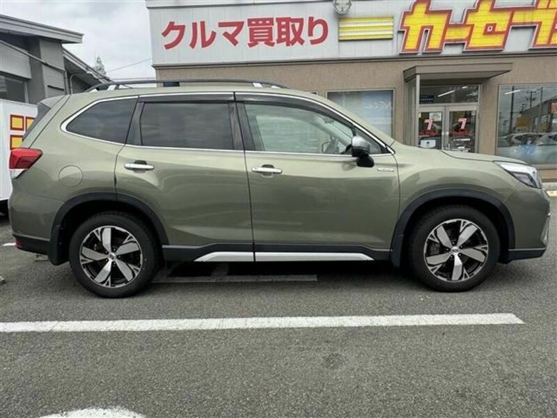 FORESTER