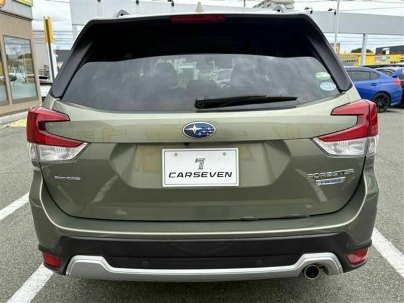 FORESTER