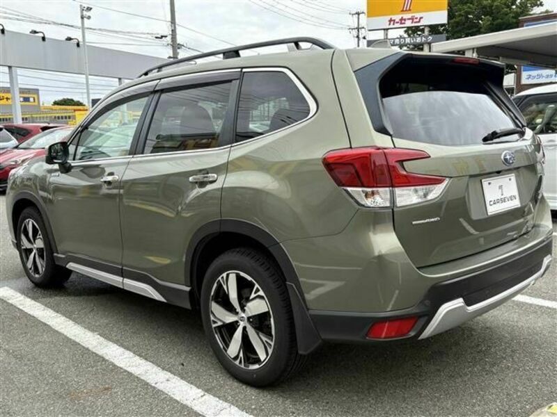 FORESTER