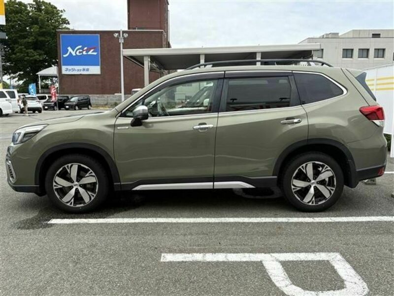 FORESTER