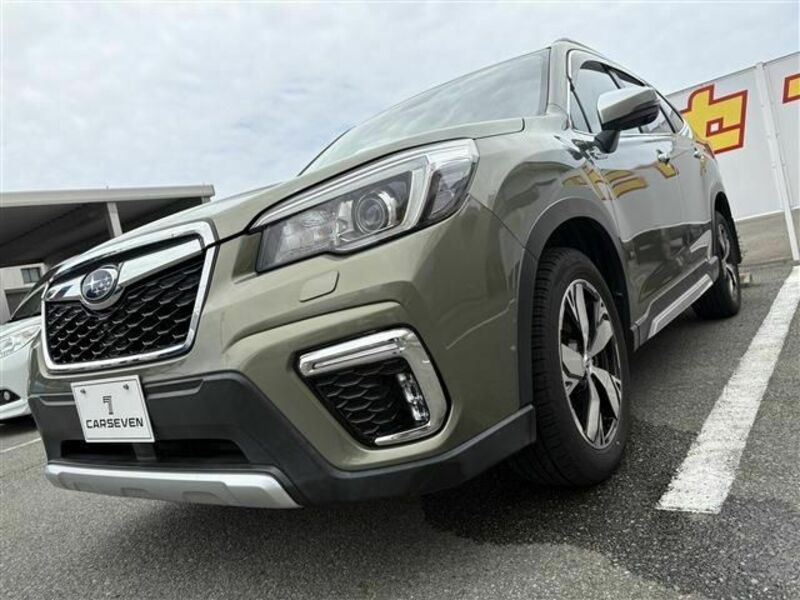 FORESTER