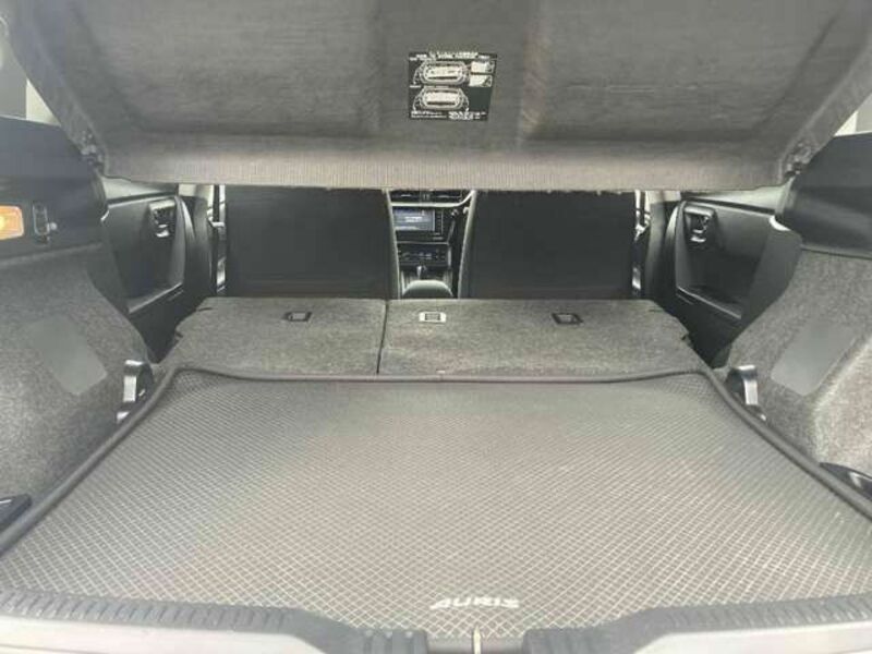 AURIS