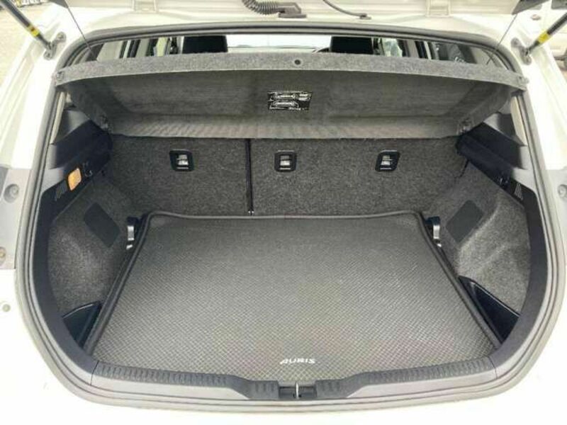 AURIS