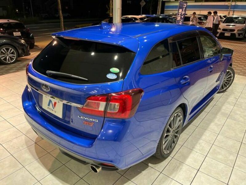 LEVORG