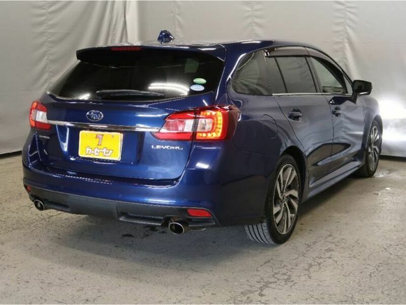 LEVORG