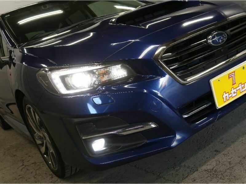 LEVORG
