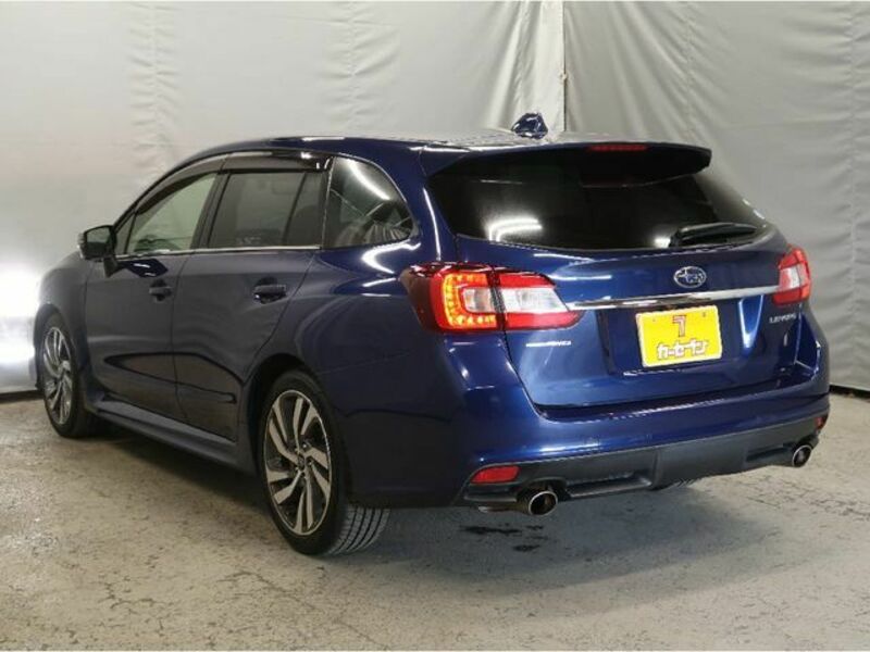 LEVORG