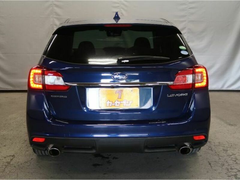LEVORG