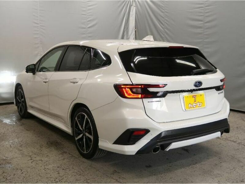 LEVORG
