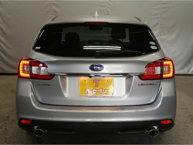 LEVORG