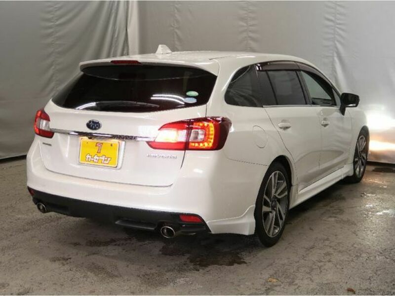 LEVORG