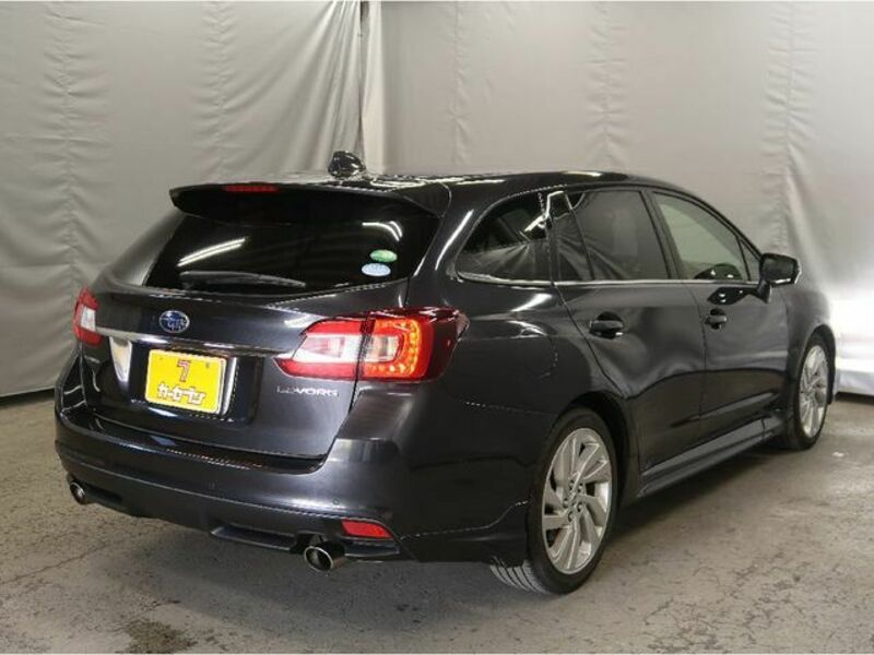 LEVORG