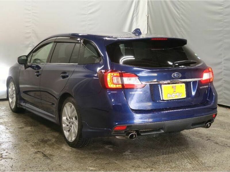 LEVORG