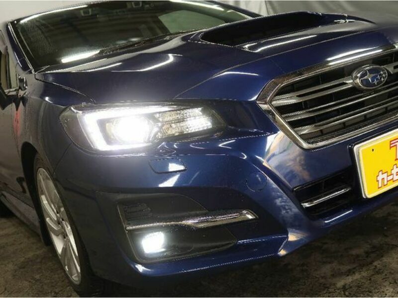 LEVORG