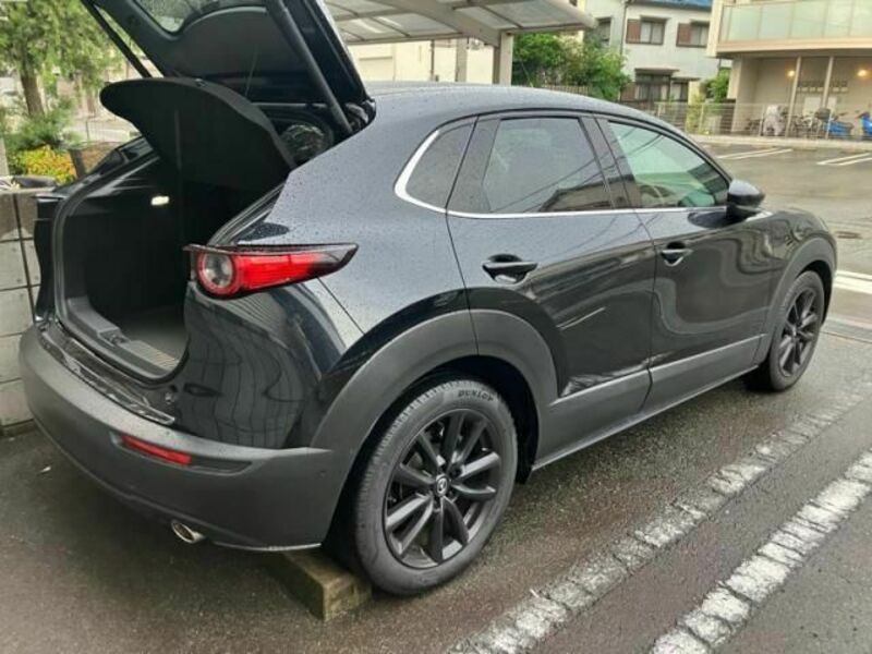 CX-30